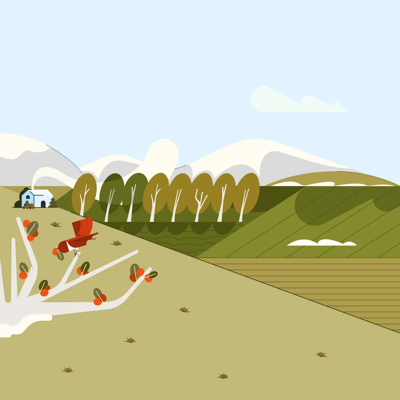 2025版《新高考高中数学题型总结》 924.5MB（共10个项目）