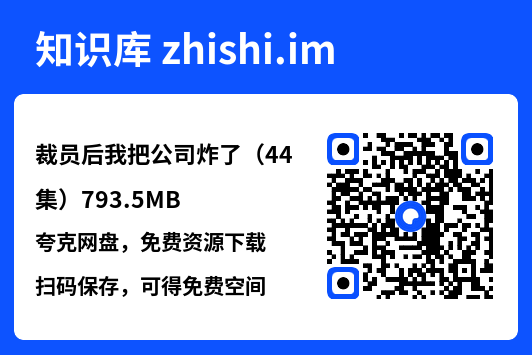 裁员后我把公司炸了(44集)793.5MB"网盘下载"