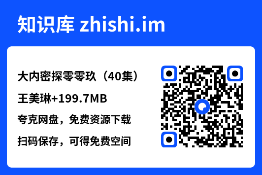 大内密探零零玖(40集)王美琳