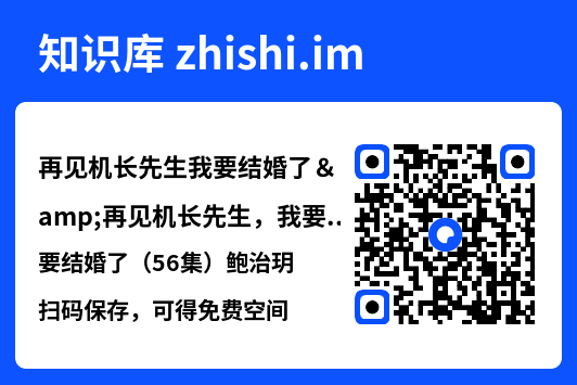 再见机长先生我要结婚了&再见机长先生,我要结婚了(56集)鲍治玥"网盘下载"