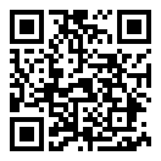 爱上华尔街之狼