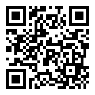 功夫小七过大年