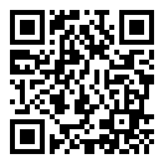 冬青树上果犹红