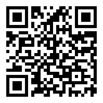 我有以假乱真系统