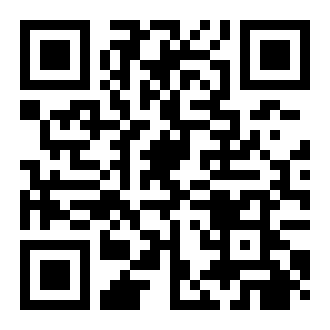 花影重来照君心